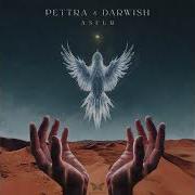 Pettra Darwish Asfur