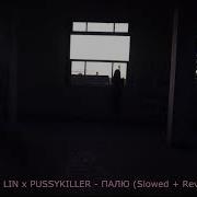 Pussykiller Tini Lin Палю Slowed Reverb