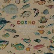 Cosmo Sheldrake Instrumental