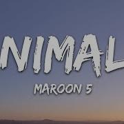 Animal Lyrics