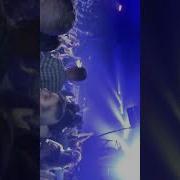 Live Trancemission Masquerade 15 04 2023 Spb