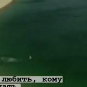 Кому Любить Кому Страдать А Нам По Жизни Кайфовать