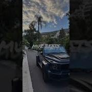 За Лесом Воля Поле