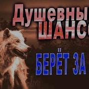 Альбом Лучшие Песни За Жизнь