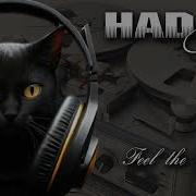 Hadab Cats Feel The Magic