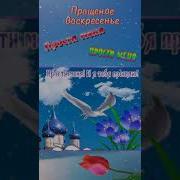 С Прощенным Воскресеньем