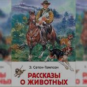 Жизнь И Повадки Диких Животных