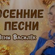 Лена Васелек