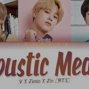 Special Acoustic Medley Bts