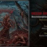 Necro Antogonist Full Albums