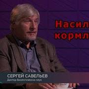 Насильное Кормление