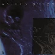 Skinny Puppy Assimilate