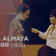 Alma Almaya Benzer