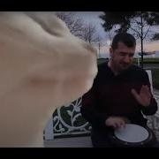 Turkish Polka