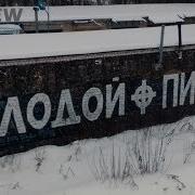 Tnf Молодой Питбуль