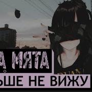 Мета Мята Ты