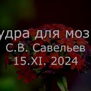 Савельев Пудра Для Мозга