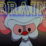 Pinky And The Brain Instrumental