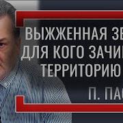 Выжженная Земля Для Кого Зачищают Территорию