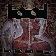 Tool Lateralus Radio Edit