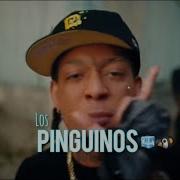 Los Pingüinos