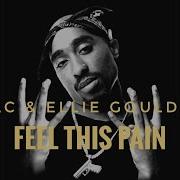 Echale Mojo Remix 2Pac No More Pain