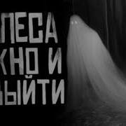 Из Леса Можно И Не Выйти