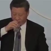 习猪头