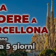 No Il Cor Tutto Foco Barcellona