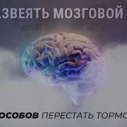 Мозговой Туман