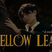 Jeff Satur ส วนน อย Yellow Leaf