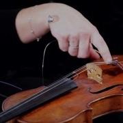 Violin String