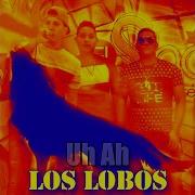 Los Lobos Uh Ah