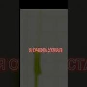Я Устал И Хочется Спать