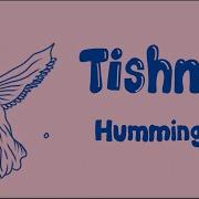 Tishmal Hummingbird