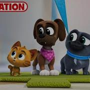 Puppy Dog Pals