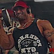 Bodybuilding Guy Cisternino Trains Arms At Powerhouse Gym