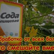 Русских Иван Огурцы