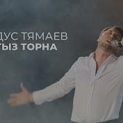 Ялгыз Торна