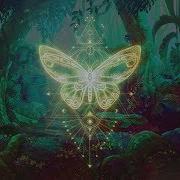Butterfly Effect