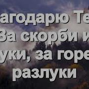 Благодарю Тебя За Скорби И Муки