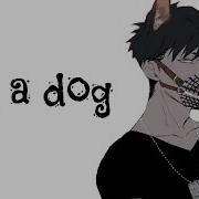 I Am Dog Nightcore