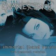 Evanescence My Immortal Band Version Instrumental