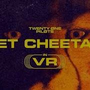 Pet Cheetah Vr