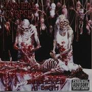 Gutted Cannibal Corpse