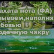 Анахата Нота Фа Омываем Наполняем Светом Любовью Сердечную Чакру