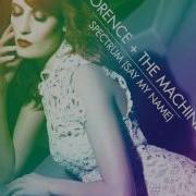 Florence The Machine Spectrum Say My Name Calvin Harris Extended Mix