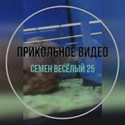 Семён Весёлый