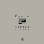 Канги Я Хочу Найти Ту Самую Собаку Slow