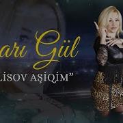 Sari Gul